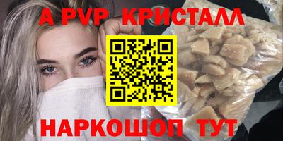сатива Кингисепп