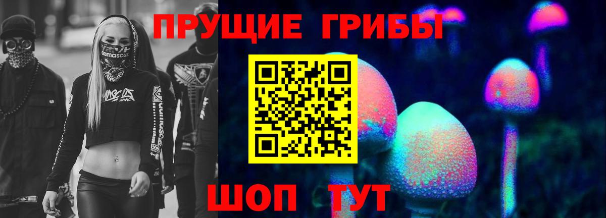 Псилоцибиновые грибы Cubensis  Галлюциногенные грибы прущие грибы  Лесосибирск  Вход с VPN 