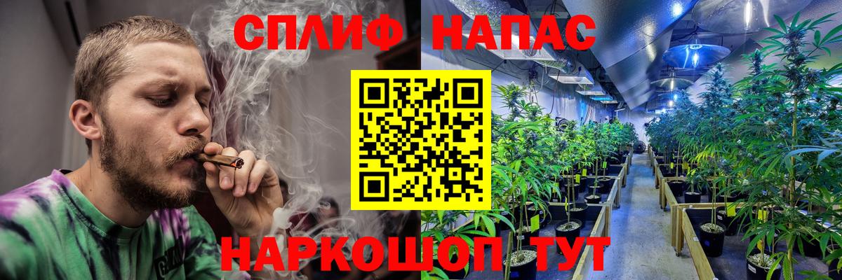 Канабис конопля Лесосибирск